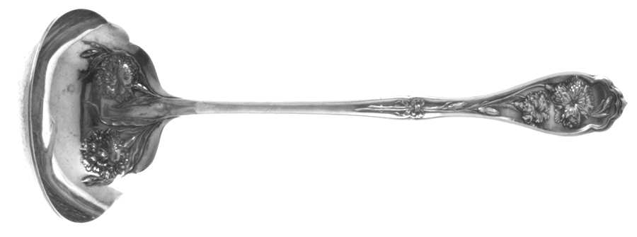 Carnation (Silverplate, 1908) Solid Soup Ladle