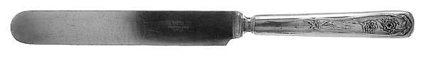 Carnation (Silverplate, 1908) Blunt Solid Knife