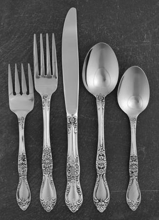 Carolina (Stainless) 40  Piece Estate Set