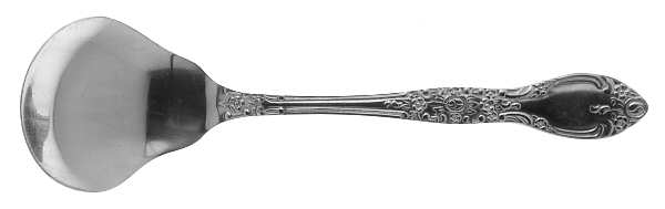 Carolina (Stainless) Sugar Spoon