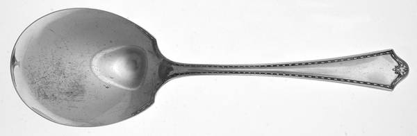 Chatauqua (Silverplate, 1916) Solid Smooth Casserole Spoon