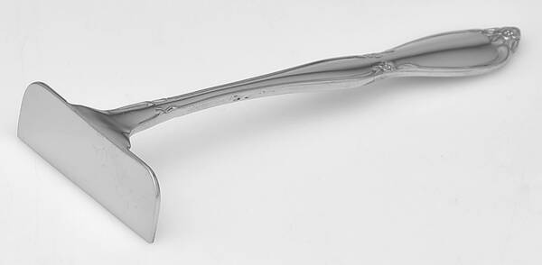 Chatelaine (Stainless) Baby Food Pusher HC
