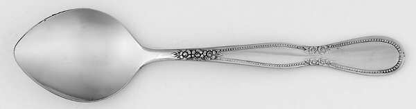 Colonial Boutique (Stainless) Sugar Spoon
