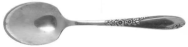 Country Lane (Silverplate, 1954) Sugar Spoon