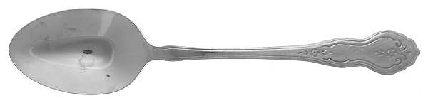 Country Medley (Stainless) Teaspoon