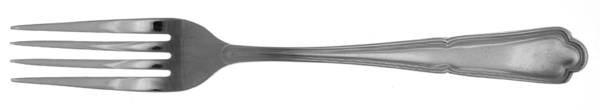 Contour (Stainless) Fork
