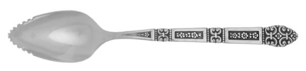 Coronation (Stainless, Black Accent) Fruit/Orange Spoon