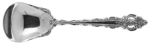 Da Vinci (Stainless) Sugar Spoon