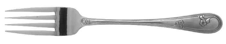 Devon (Stainless) Fork