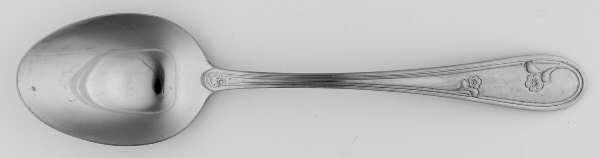 Devon (Stainless) Tablespoon (Serving Spoon)