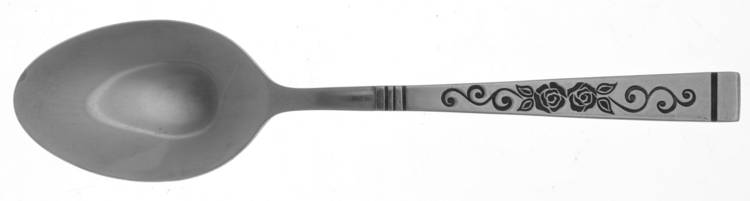 Duet (Stainless) Teaspoon