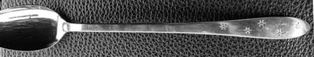 Duet2 (Stainless) Iced Tea Spoon