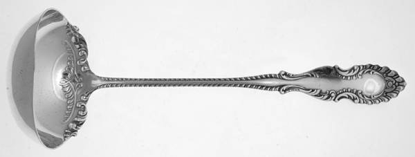 Elberon Solid Soup Ladle