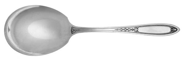 Enchantment-Bounty (Silverplate 1929) Solid Smooth Casserole Spoon