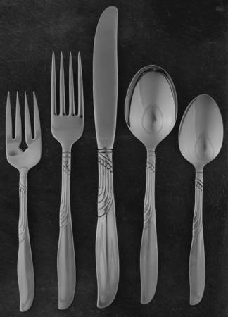 Encore (Stainless, Wm A Rogers) 5 Piece Place Setting