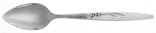 Enchantment-Gentle Rose (Silverplate, 1960) Fruit/Orange Spoon