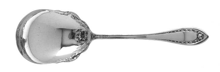 Extra Silver Coin Plate 3 (Silverplate) Solid Smooth Casserole Spoon