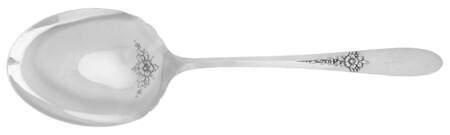 Fantasy (Silverplate, 1941) Solid Smooth Casserole Spoon