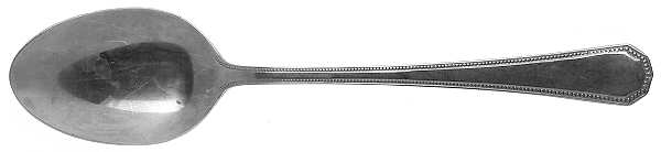 Fashionpoint (Stainless) Tablespoon (Serving Spoon)
