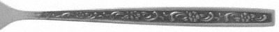 Fernwood (Stainless) by Oneida Silver