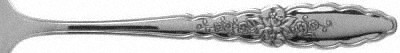 Floral Glen (Stainless) by Oneida Silver