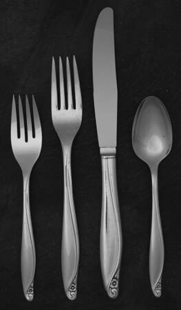 Flowertime (Silverplate, 1963) 4 Piece Place Setting