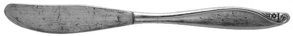 Flowertime (Silverplate, 1963) Flat Handle Butter Spreader