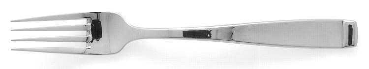 Forte (Stainless) Fork