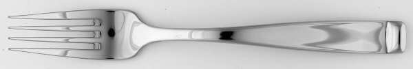 Forte (Stainless) European Fork