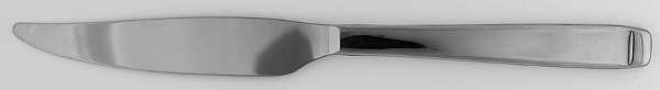 Forte (Stainless) Individual Steak Knife Hollow Handle