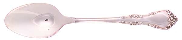 Fredericksburg (Silverplate, 1968) Teaspoon