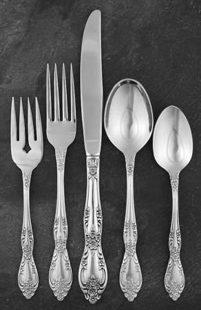Galveston (Stainless) 5 Piece Place Setting