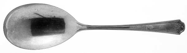 Hampton-Thelma Solid Salad Serving Spoon