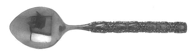 Houston (Stainless) Sugar Spoon