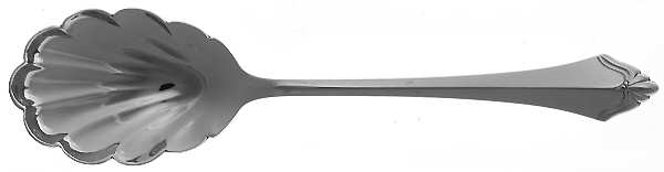 Kenwood (Stainless) Sugar Shell Spoon