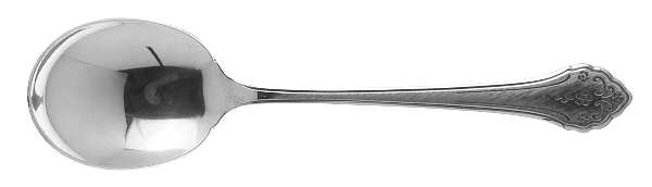 Lakewood (Stainless) Sugar Spoon