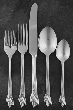 Leander (Stainless) 5 Piece Place Setting