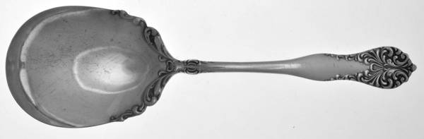 Leonora-Lenora (Silverplate, 1905) Solid Smooth Casserole Spoon