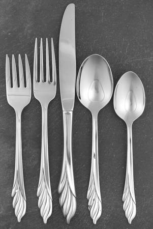 Liberty's Light (Stainless) 5 Piece Place Setting