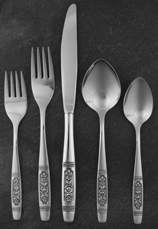Louisville (Stainless) 5 Piece Place Setting