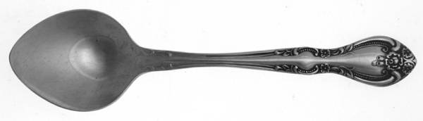 Madison House (Stainless) Sugar Spoon