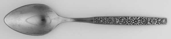 Malibu (Stainless) Teaspoon