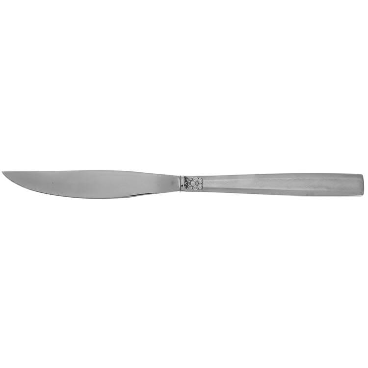 Melissa (Stainless) Steak Knife Individual Hollow, No Serrate HC