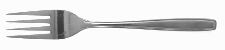 Midland (Stainless) Fork