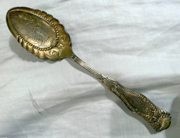 Milano (Silverplate) Sugar Shell Spoon, Bright Cut