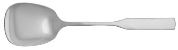 Modern Antique (Stainless) Ice Cream Spoon Individual