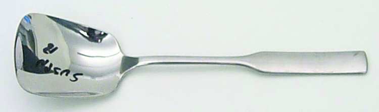 Modern Antique (Stainless) Sugar Spoon