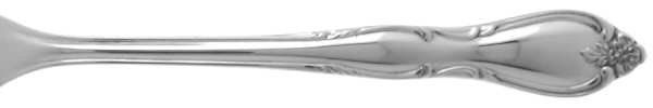 Montclair (Stainless, Floral Tip) by Oneida Silver