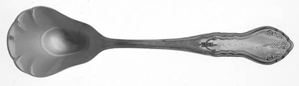Niagara (Stainless, Northland) Sugar Shell Spoon
