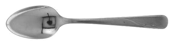 Oceanic (Stainless) Youth Spoon